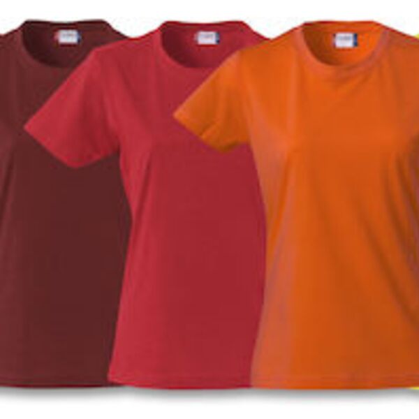 Basic-T Ladies Thumbnail